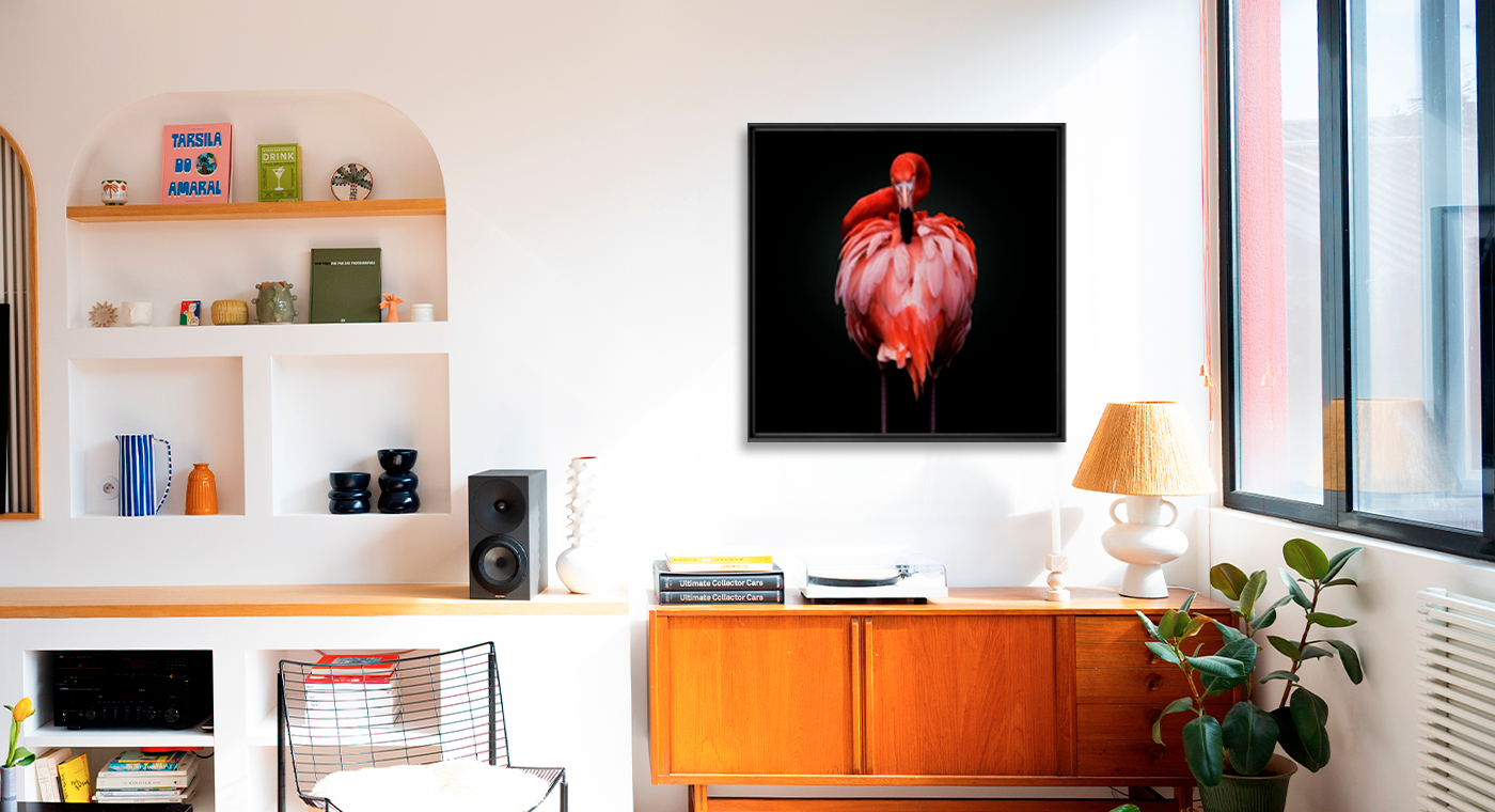 WATCH YOUR BACK - PEDRO JARQUE KREBS - Photograph