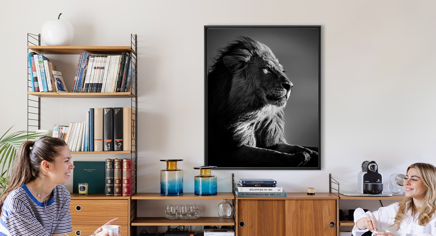 LION IN COMPLIANCE 2 - LAURENT BAHEUX - Fotograf&iacute;a