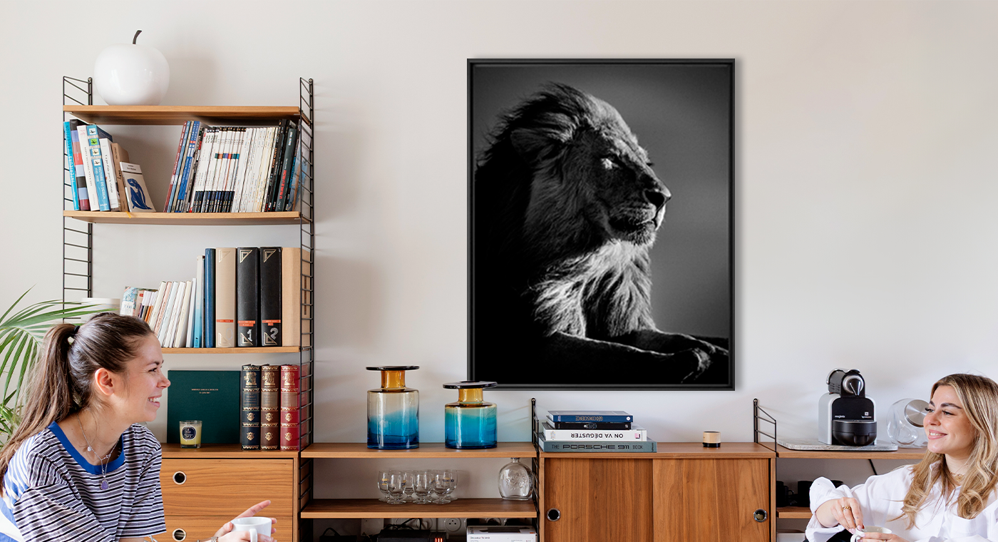 LION IN COMPLIANCE 2 - LAURENT BAHEUX - Photograph