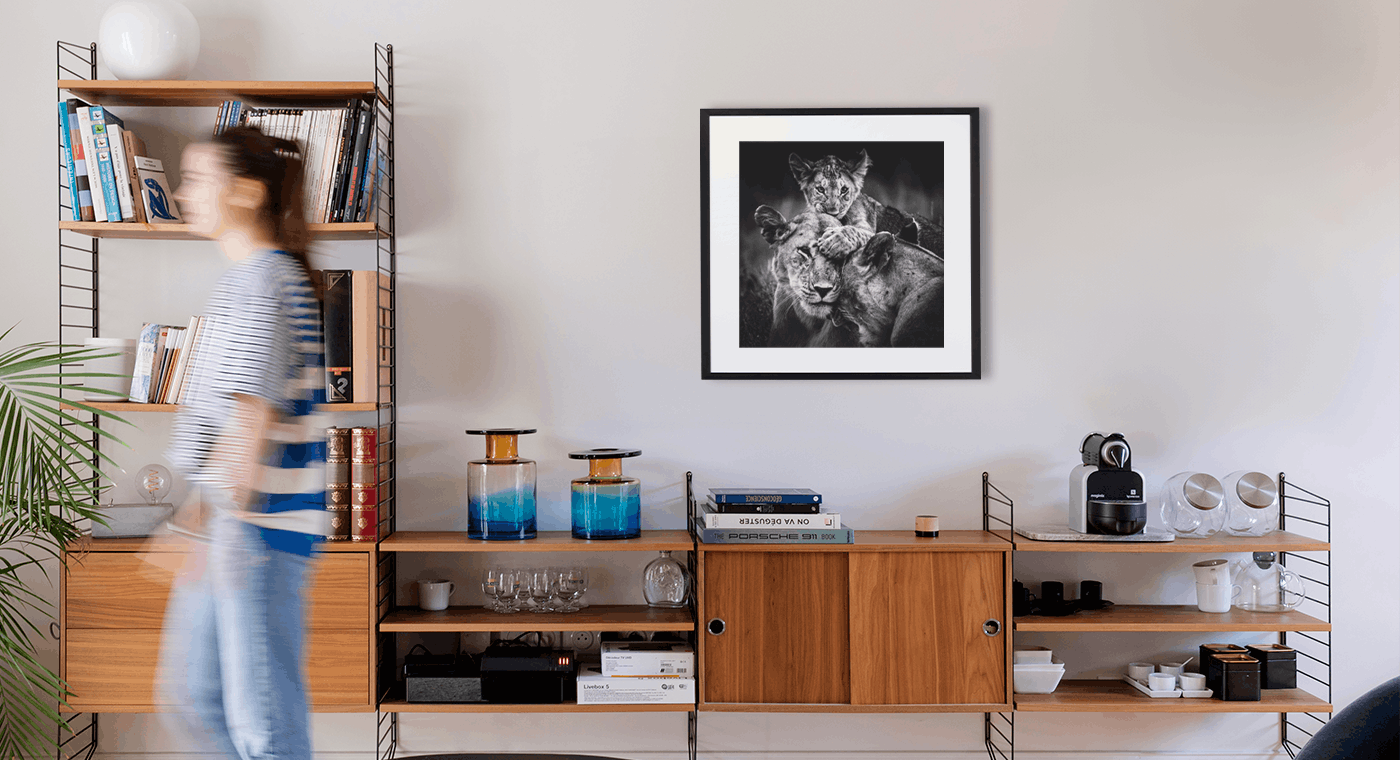 MORDU DAMOUR - LAURENT BAHEUX - Photographie