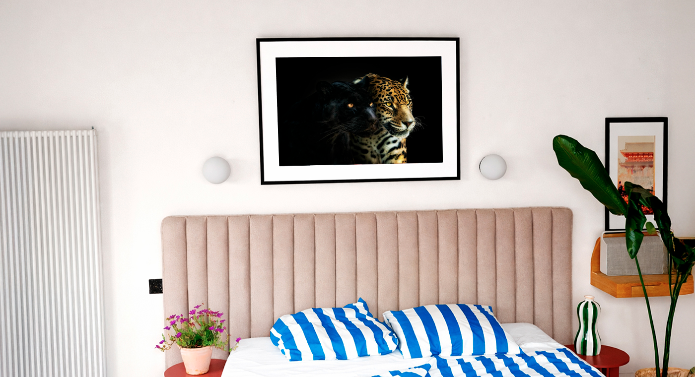 PERFECT HARMONY - PEDRO JARQUE KREBS - Photograph