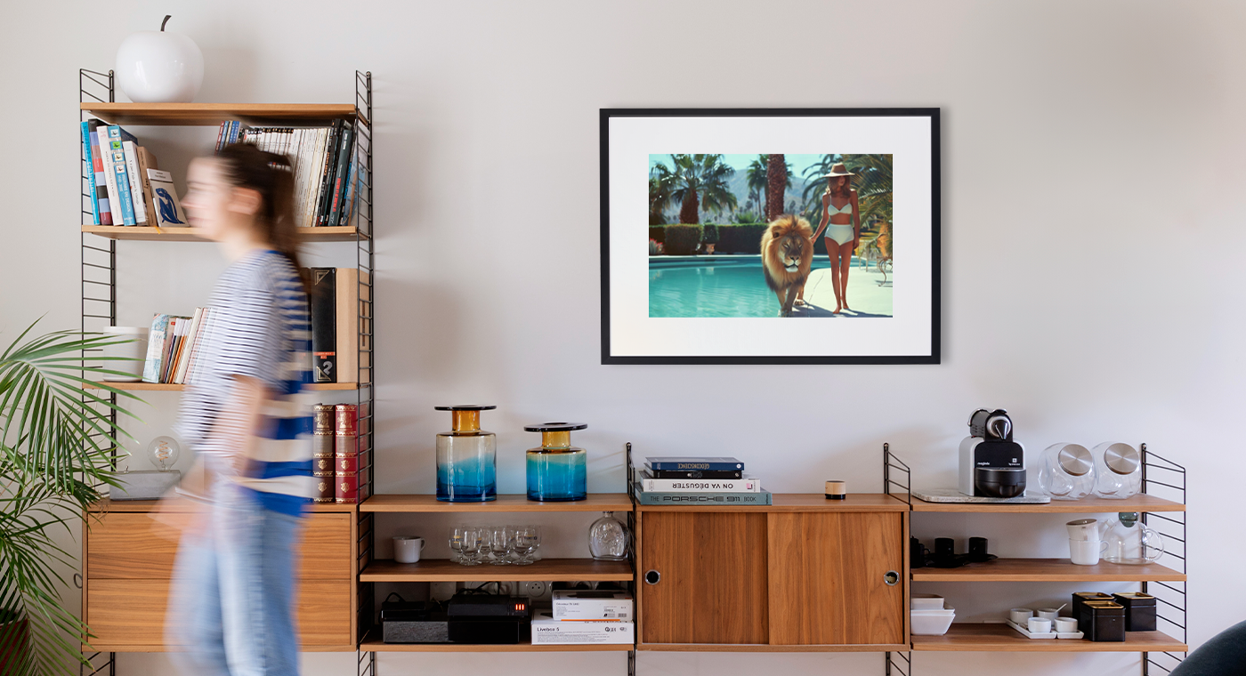 My king lion - Alexandre FAUVE - Photograph