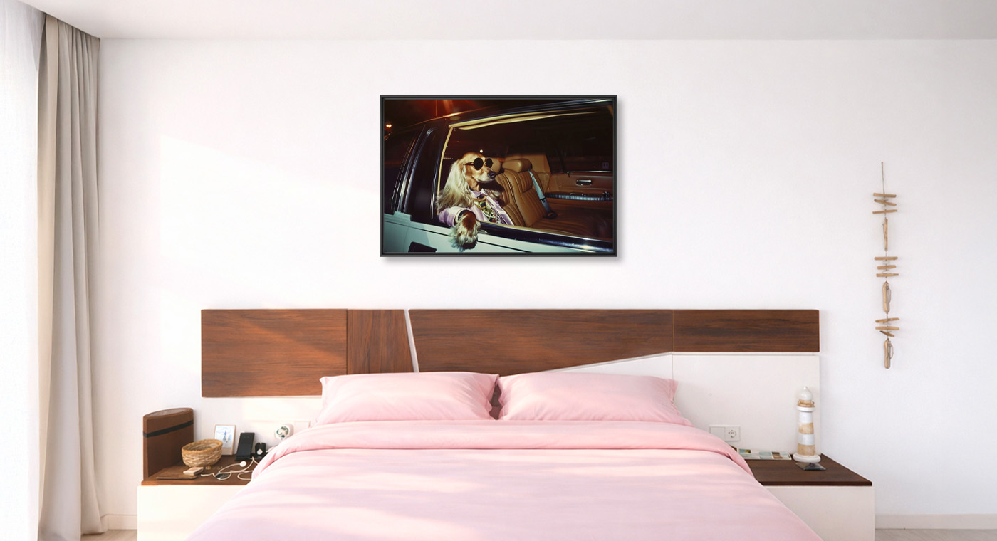 Lifestyle of the rich and famous - Ernest Chevreuil - Photograph