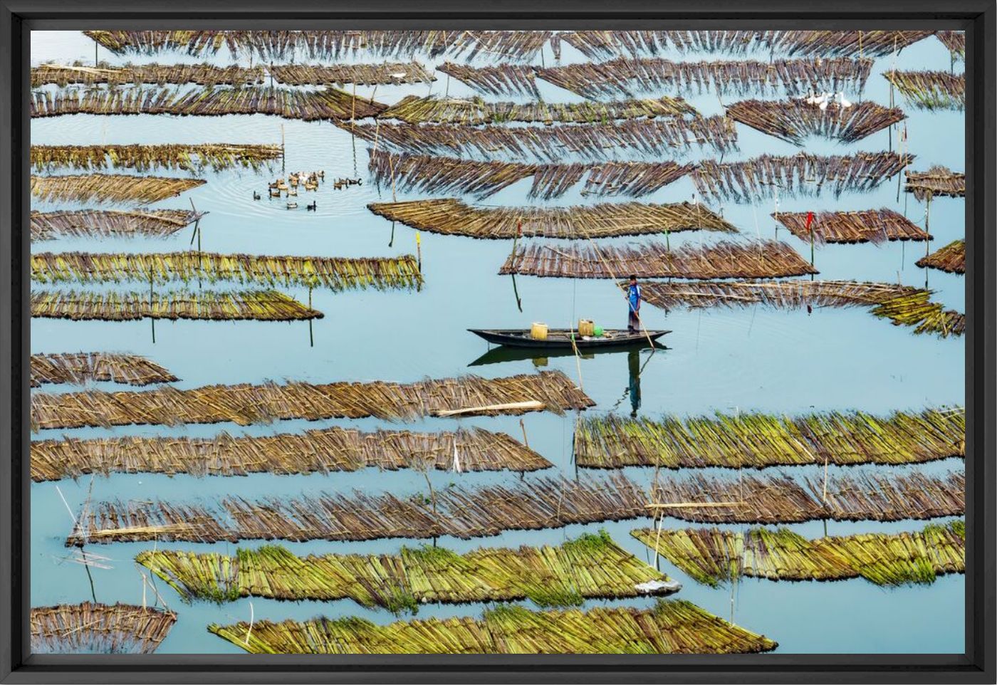 Kunstfoto Harvesting beauty - Abdul MOMIN - Foto schilderij