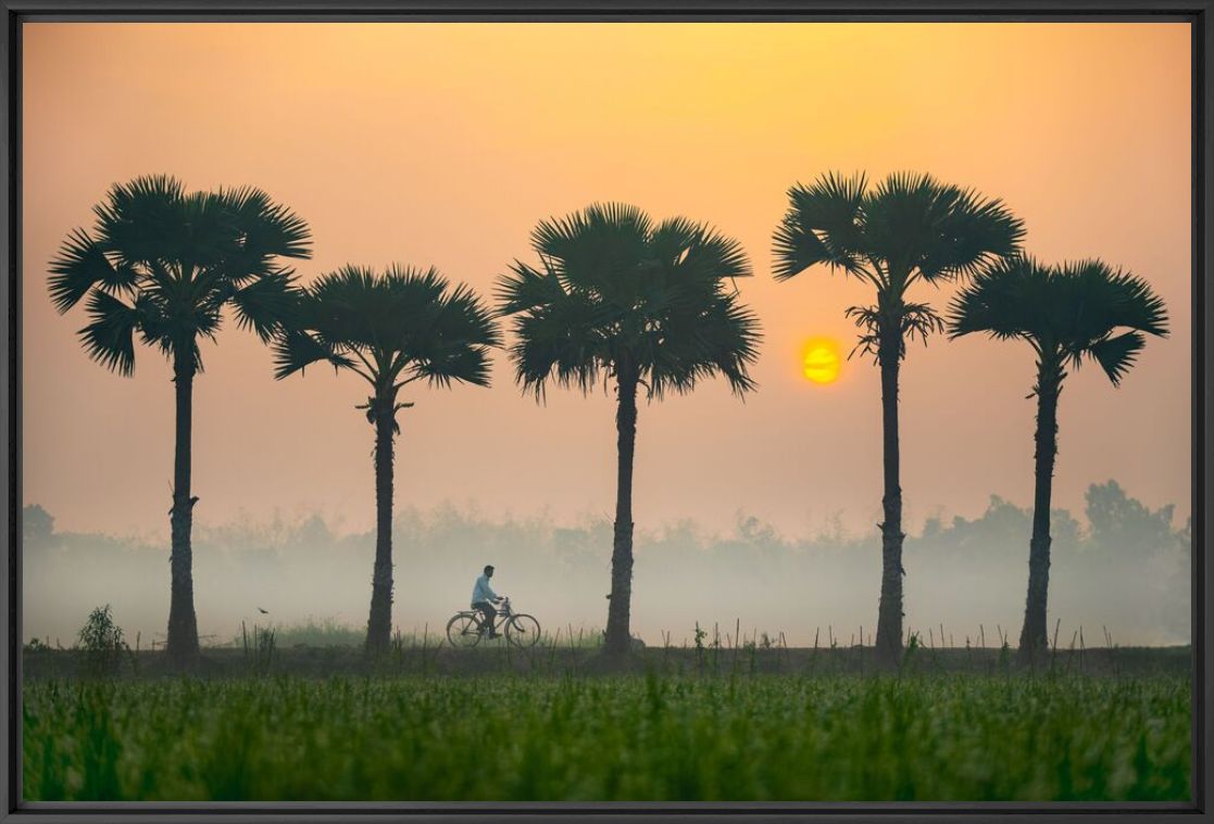 Fotografie A winter morning - Abdul MOMIN - Bildermalerei