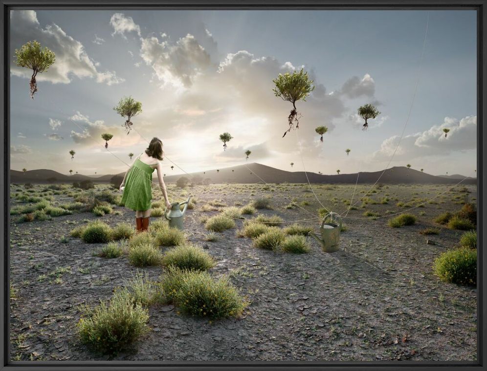 Kunstfoto Des Racines Et Des Ailes - ALASTAIR MAGNALDO - Foto schilderij