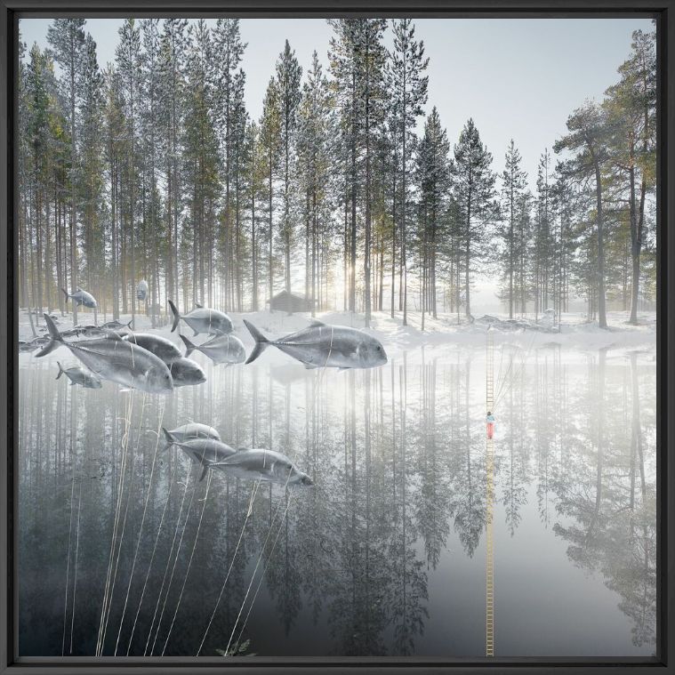 Kunstfoto Les Poissons - ALASTAIR MAGNALDO - Foto schilderij