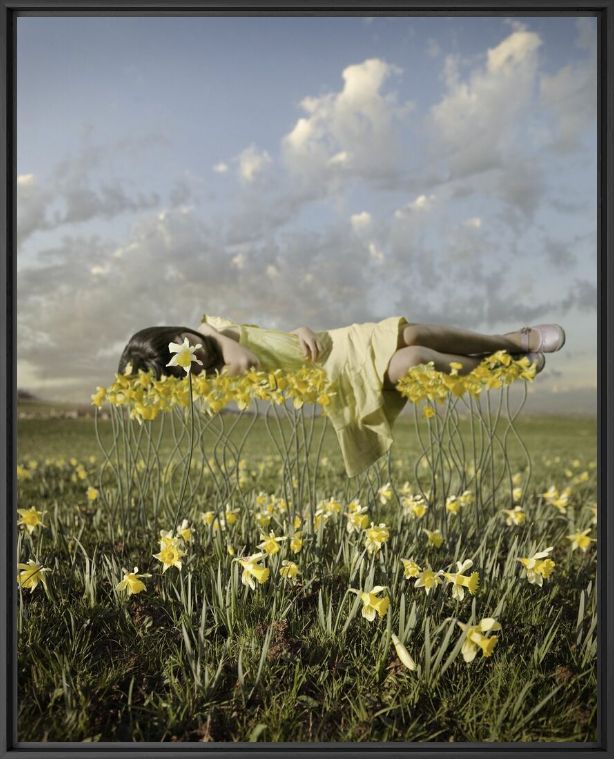 Photographie Yellowbud - ALASTAIR MAGNALDO - Tableau photo