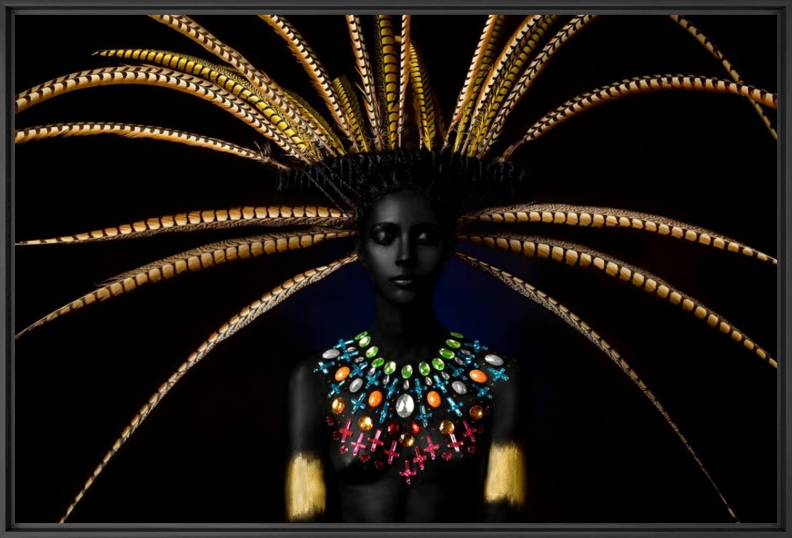 Photographie The Mayab Pheasant Goddess - ALFREDO SANCHEZ - Tableau photo