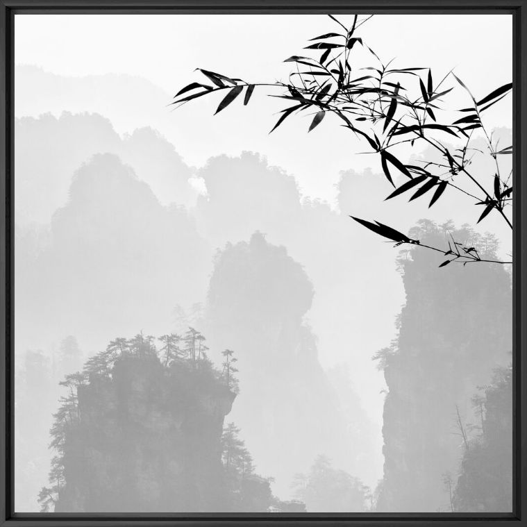 Fotografia Amazing Zhangjiajie #2 - ALMA  - Pittura di immagini