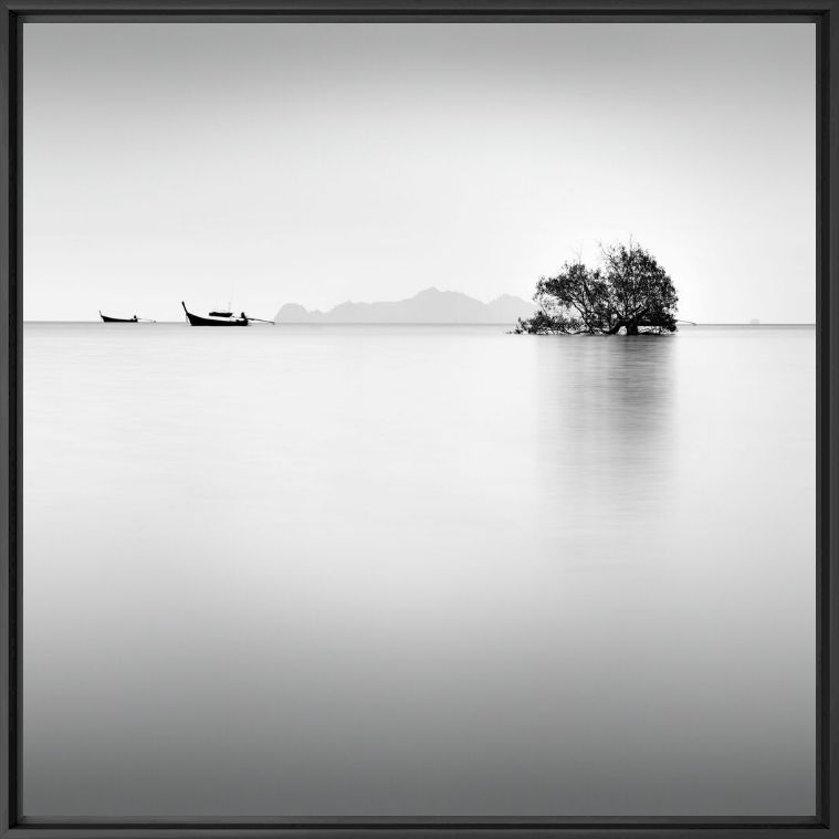 Kunstfoto Mangrove dawn 1 - ALMA  - Foto schilderij