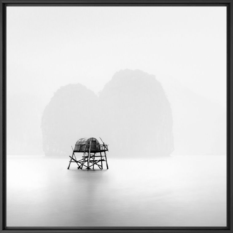 Fotografia Serendipity - ALMA  - Pittura di immagini