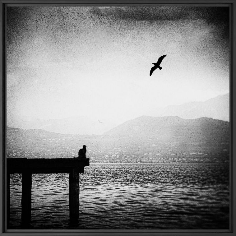 Kunstfoto THE BLACK CAT PART 2 - ANDO FUCHS - Foto schilderij