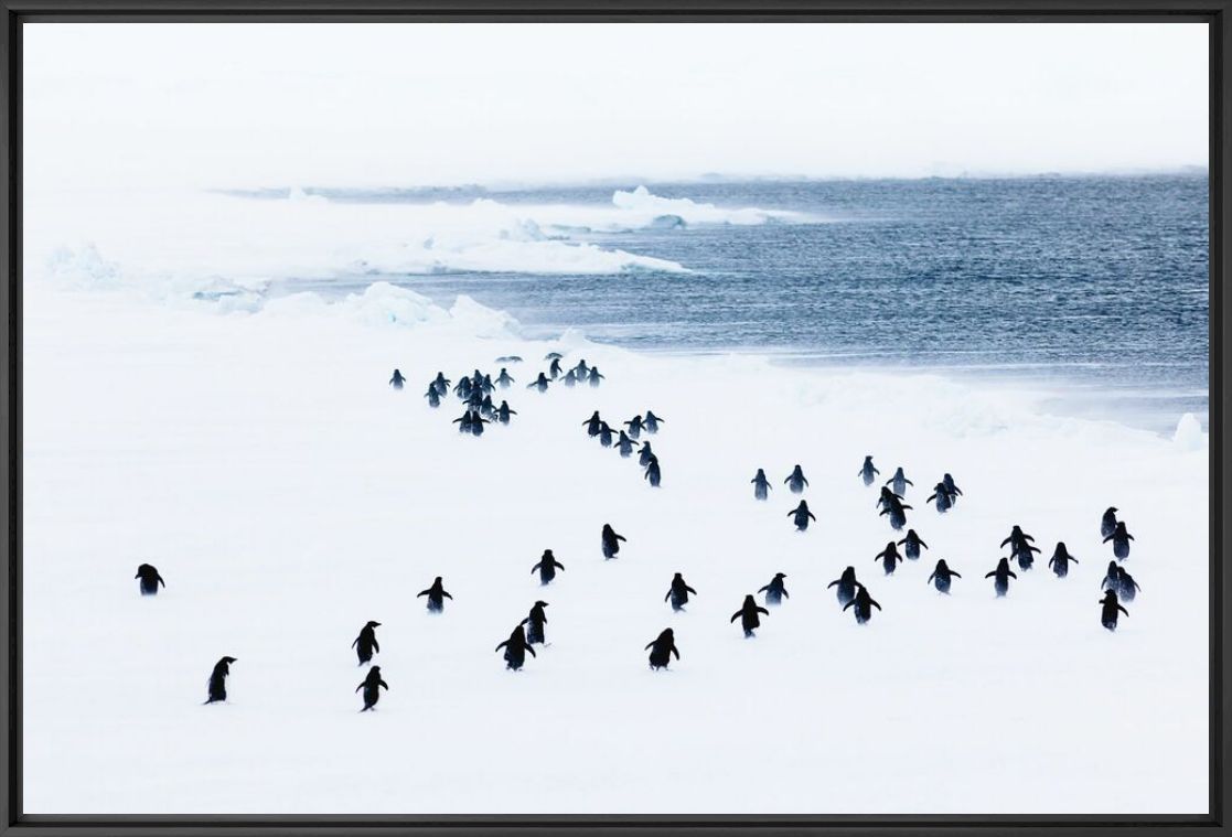 Kunstfoto WHITE STORM - ANDREW PEACOCK - Foto schilderij