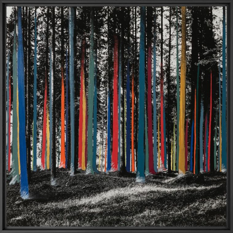 Photograph La forêt en aplats -  Ava x K - Picture painting