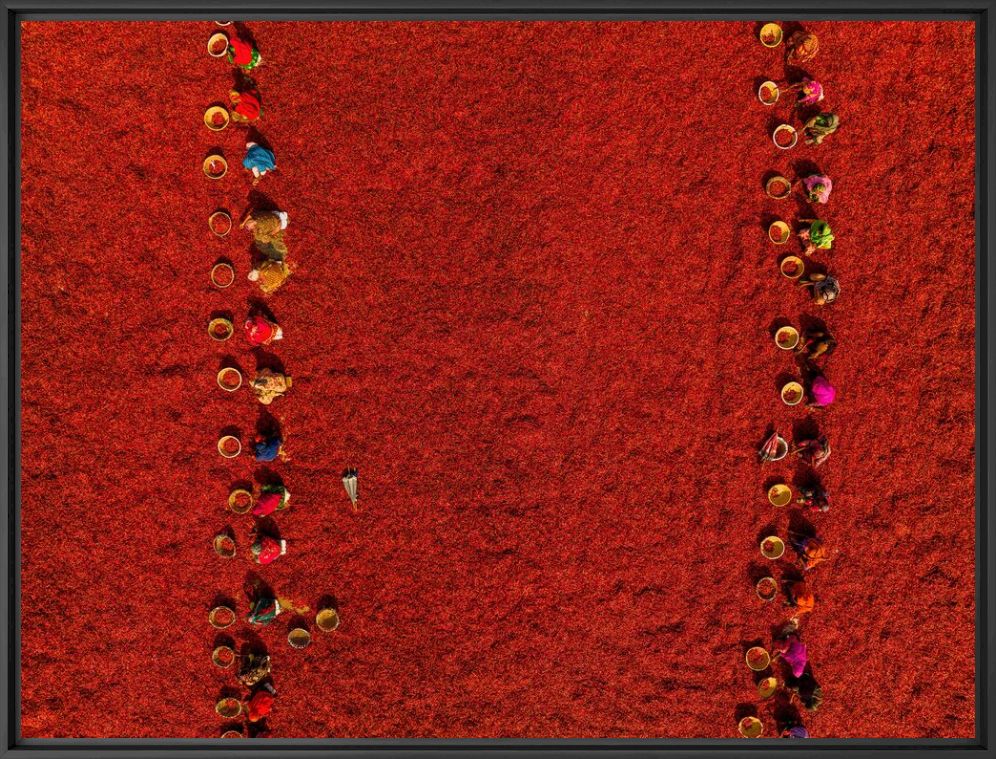 Kunstfoto Red chilies 3 - Azim Khan Ronnie - Foto schilderij