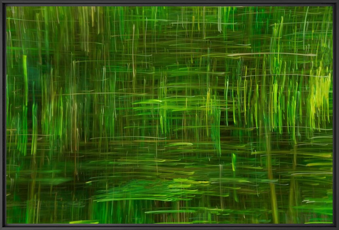 Photograph Moving bamboo - Bart Debo - Picture painting