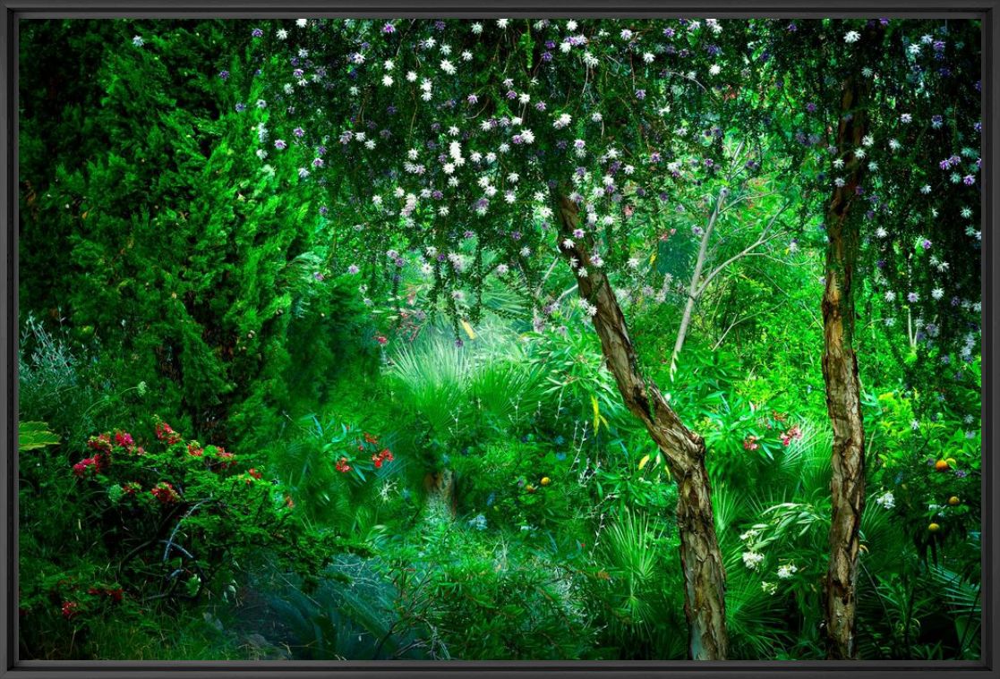 Photograph Le Jardin Eden 2 - BERNHARD HARTMANN - Picture painting