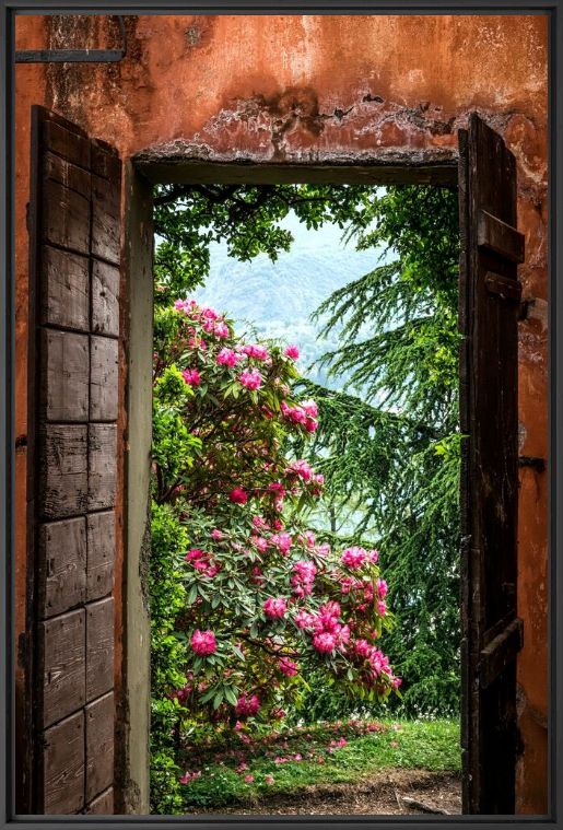 Photographie LE VIEUX TEPIDARIUM II - BERNHARD HARTMANN - Tableau photo