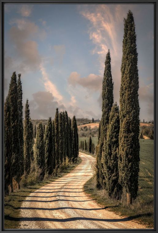 Kunstfoto The Cypress road - BERNHARD HARTMANN - Foto schilderij