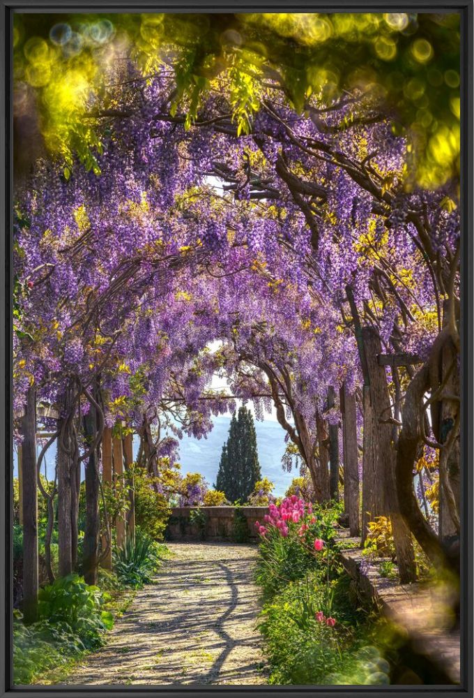 Photograph The enchanted garden - BERNHARD HARTMANN - Picture painting