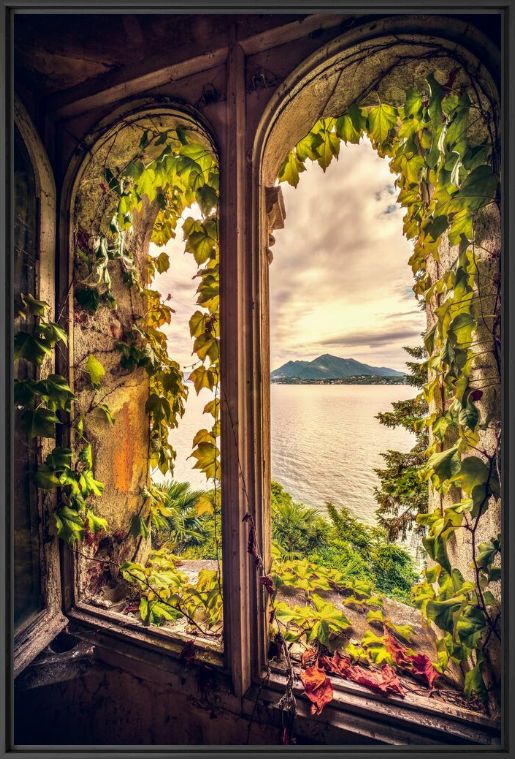 Photograph THE SECRET WINDOW OF VILLA PELLEGRINI - BERNHARD HARTMANN - Picture painting