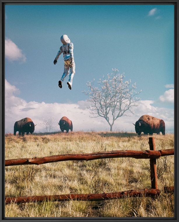 Fotografie Astro buffalo field - Cameron  Burns - Bildermalerei