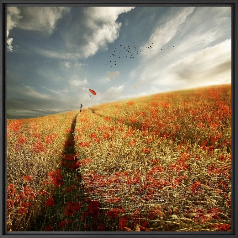 Photograph POPPY RED - CHRISTINE ELLGER - Picture painting