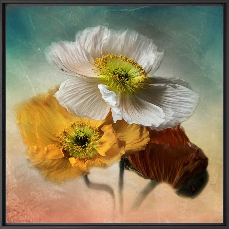 Kunstfoto Trio - CHRISTINE ELLGER - Foto schilderij