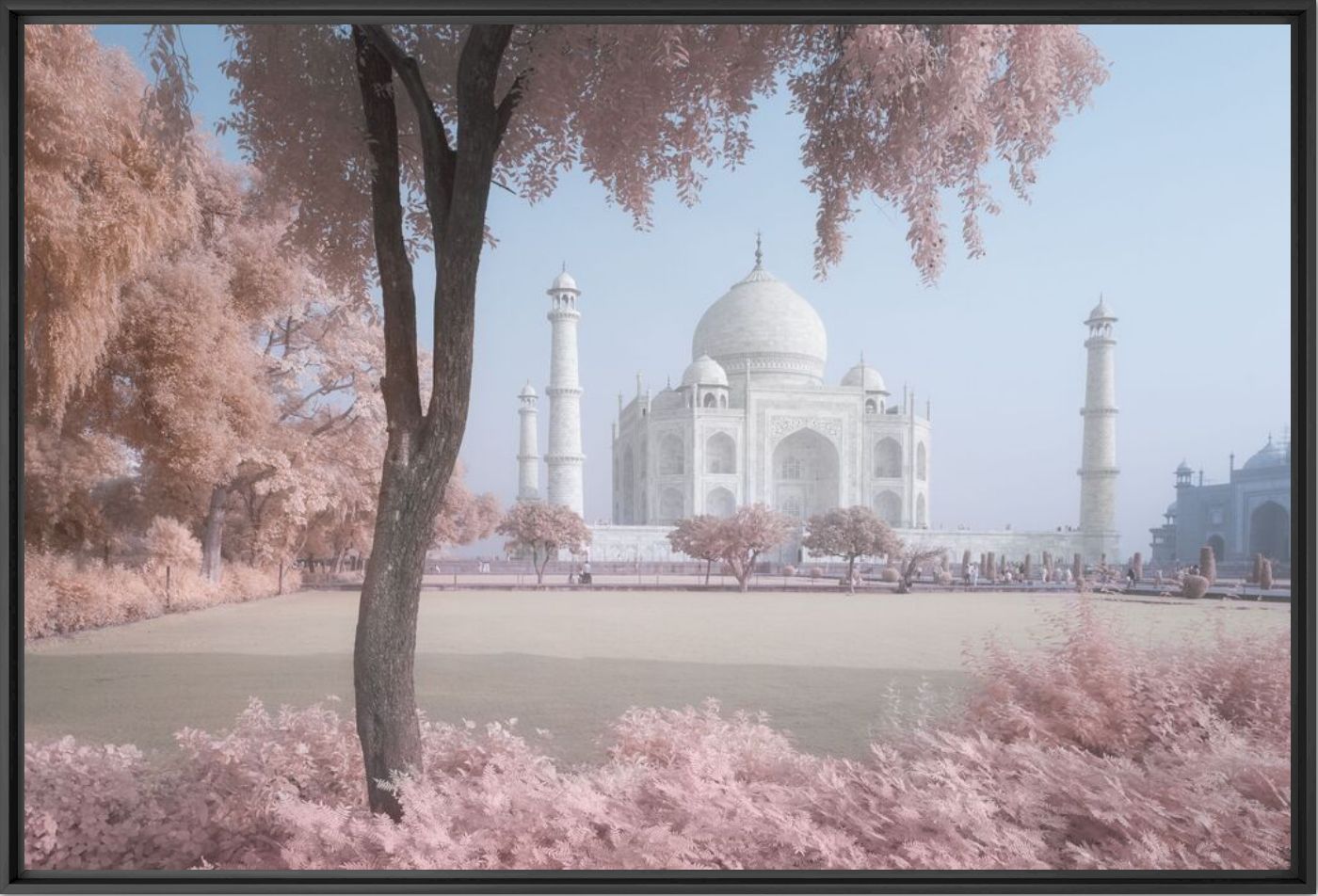 Photograph Taj Mahal in Infrared - David Clapp - Picture painting