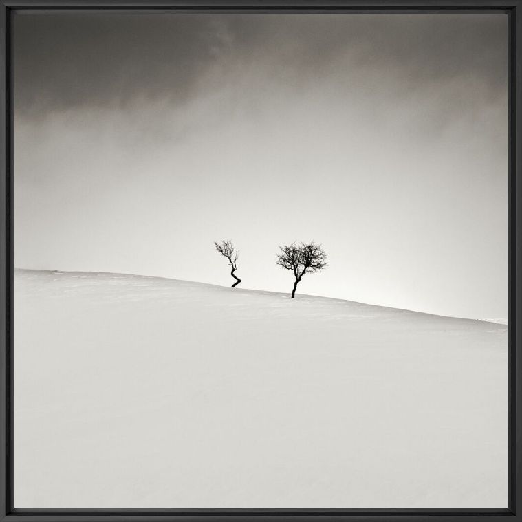 Photographie Degenerate - EBRU SIDAR - Tableau photo