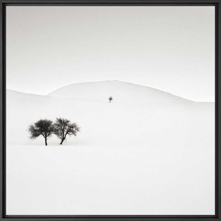 Kunstfoto Don't Forget Us - EBRU SIDAR - Foto schilderij