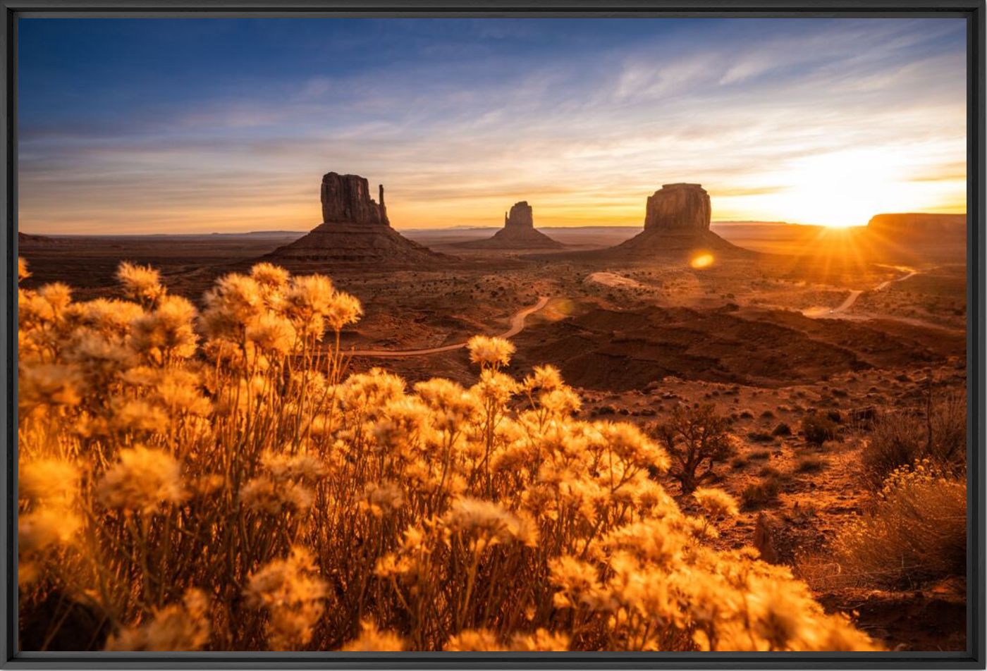 Kunstfoto Morning dream - ESTEBAN TORO - Foto schilderij