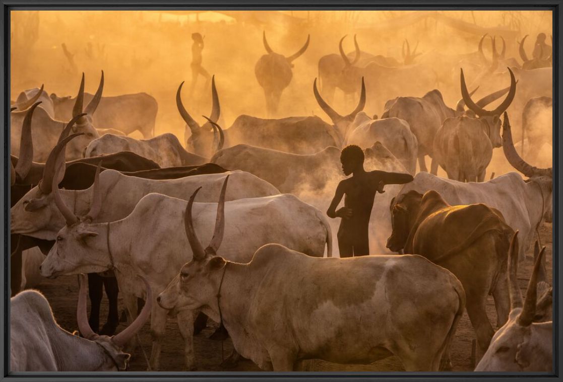 Fotografia Silence and chaos - ESTEBAN TORO - Pittura di immagini