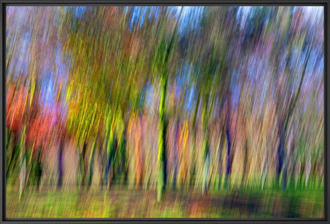 Kunstfoto Autumn in memory - Fan Li - Foto schilderij