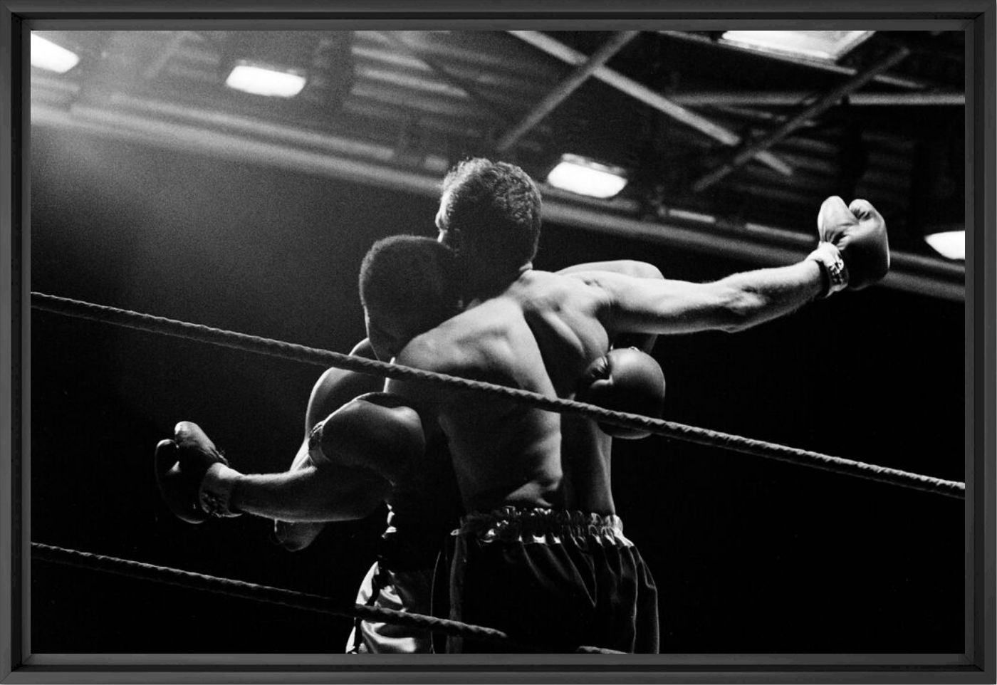 Fotografia Combat entre Mohamed Ali et Henry Cooper à Londres 1966 -  GAMMA AGENCY - Pittura di immagini