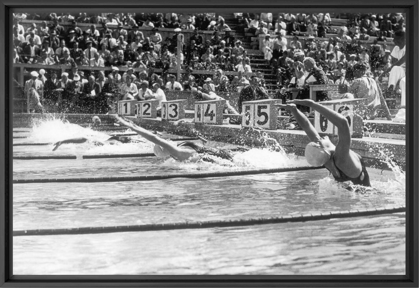 Fotografie Epreuve de natation féminine du 100m dos aux Jeux Olympiques de Berlin le 11 août 1936 -  GAMMA AGENCY - Bildermalerei