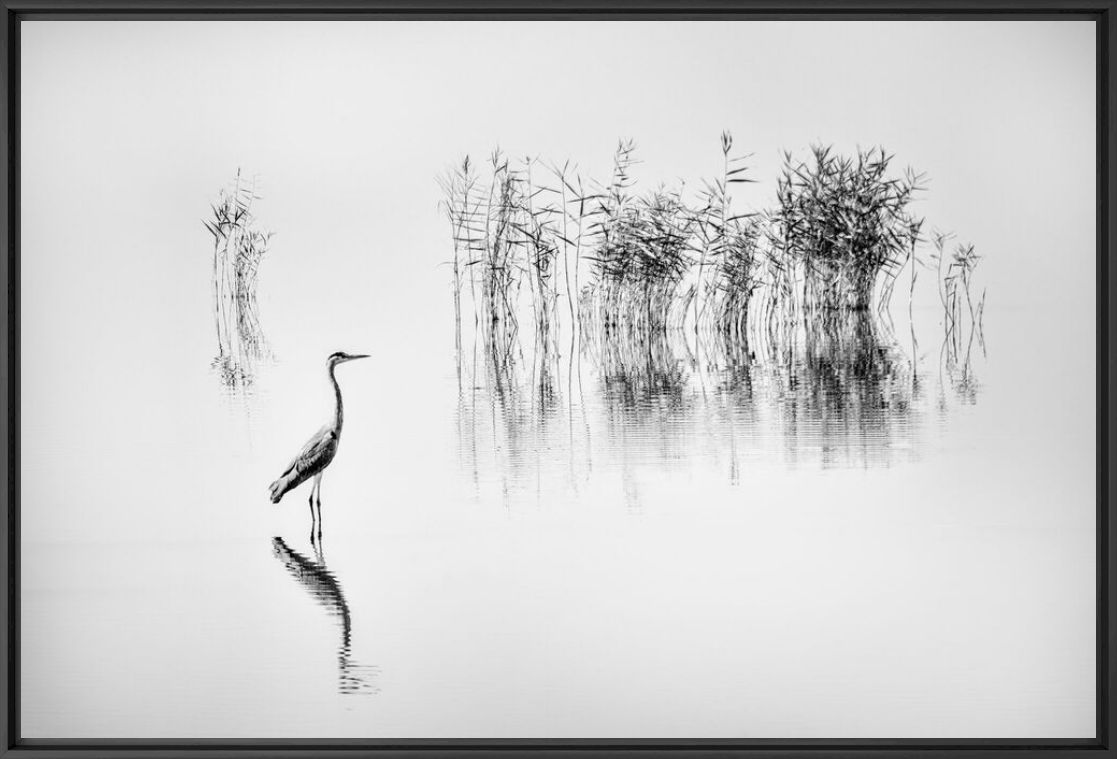 Kunstfoto LAKE KARLA 006 - GEORGE DIGALAKIS - Foto schilderij