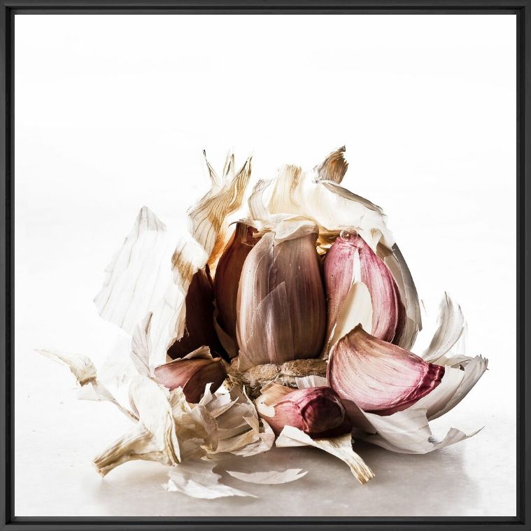 Photograph FOOD WASTE GARLIC - GILDAS PARE - Picture painting