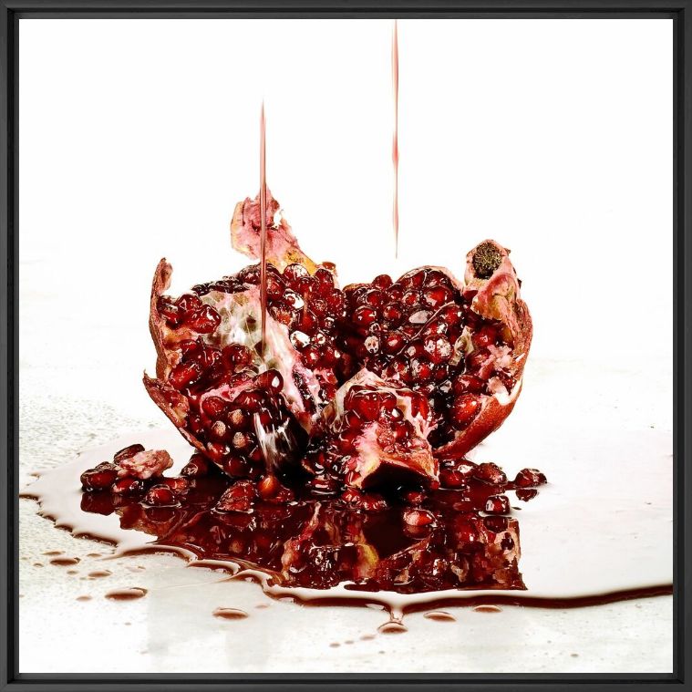 Photograph FOOD WASTE POMEGRANATE - GILDAS PARE - Picture painting