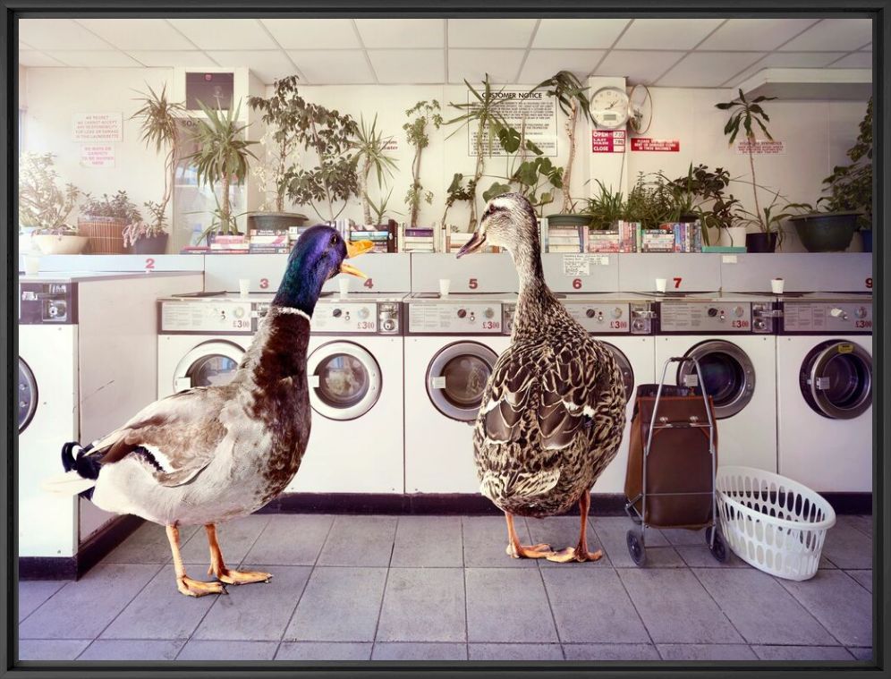 Kunstfoto HOT GOSSIP AT THE LAUNDERETTE - GRAHAM TOOBY - Foto schilderij