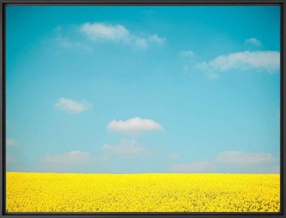 Kunstfoto SKY OVER FLOWERS - HEROD BECEN - Foto schilderij