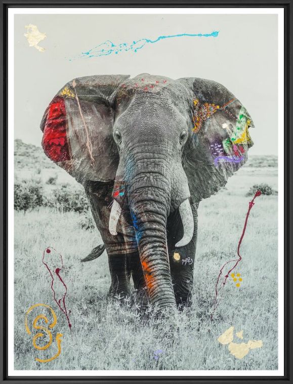 Kunstfoto TEMBO 9 -  I'M NOT A TROPHY - Foto schilderij