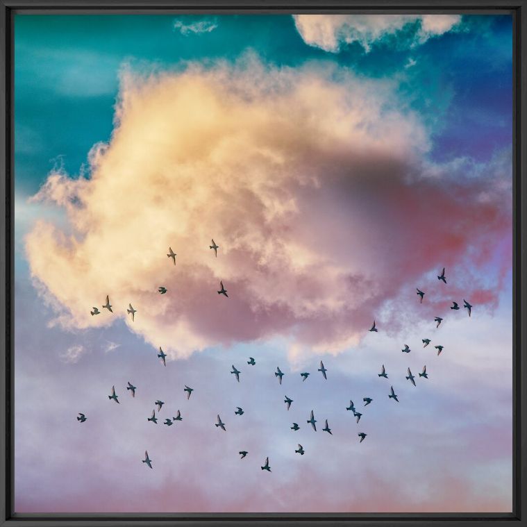 Photographie Birds and Clouds - IGOR VITOMIROV - Tableau photo