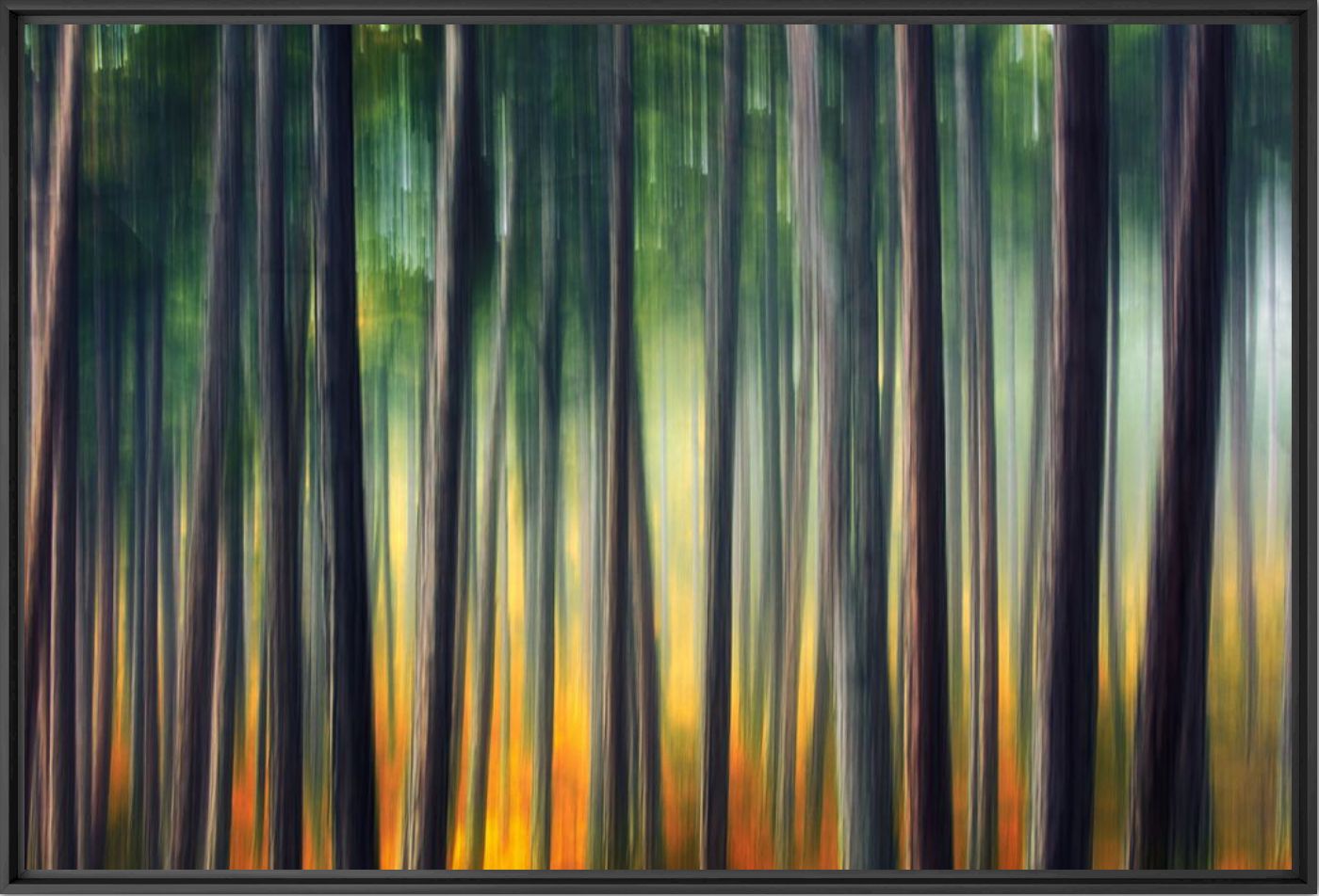 Kunstfoto Nature movements - IGOR VITOMIROV - Foto schilderij