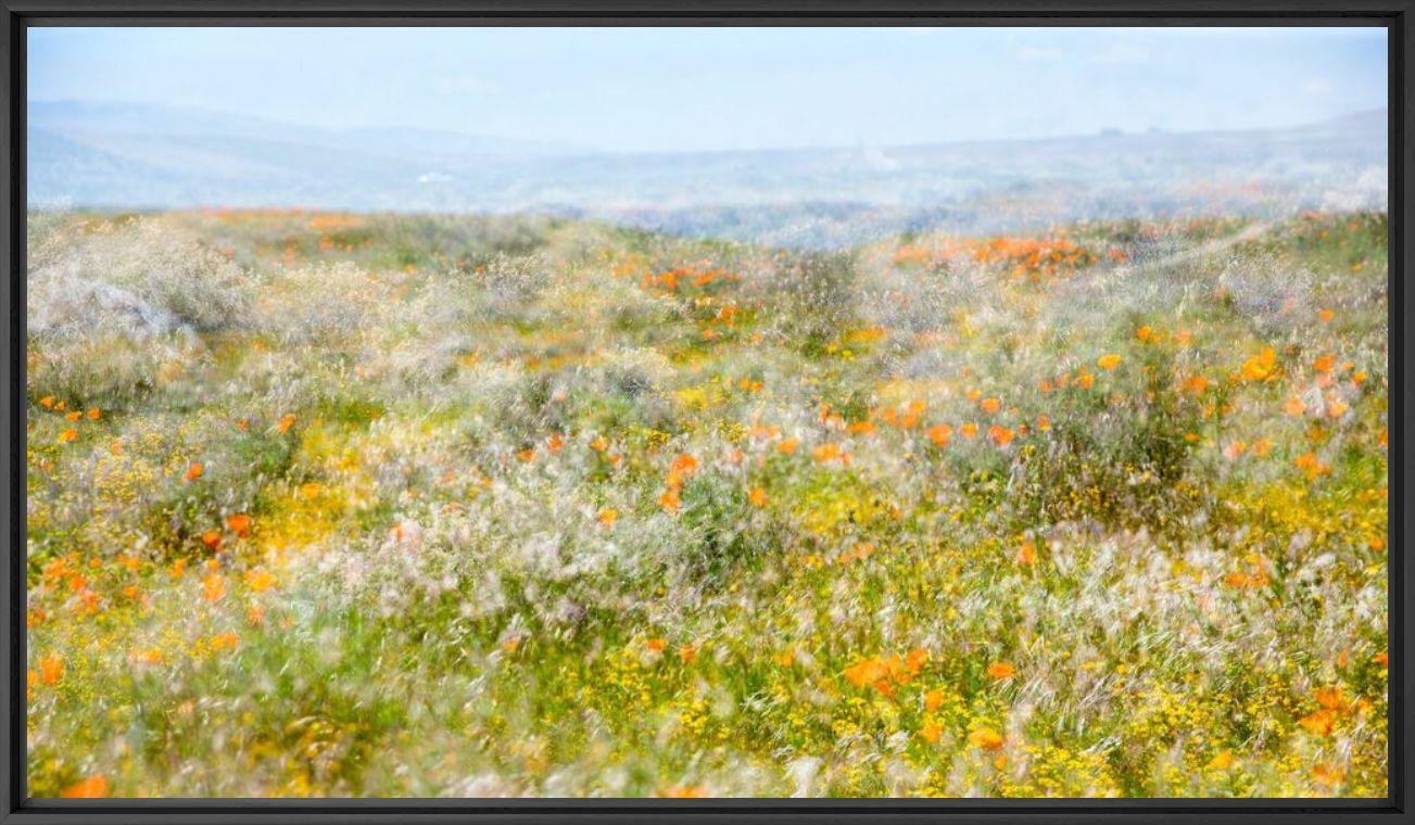 Photograph ANTELOPE VALLEY NO 2 - INA JUNGMANN - Picture painting