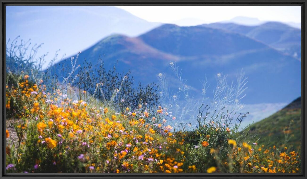 Fotografía LAKE ELSINORE NO 2 - INA JUNGMANN - Cuadro de pintura