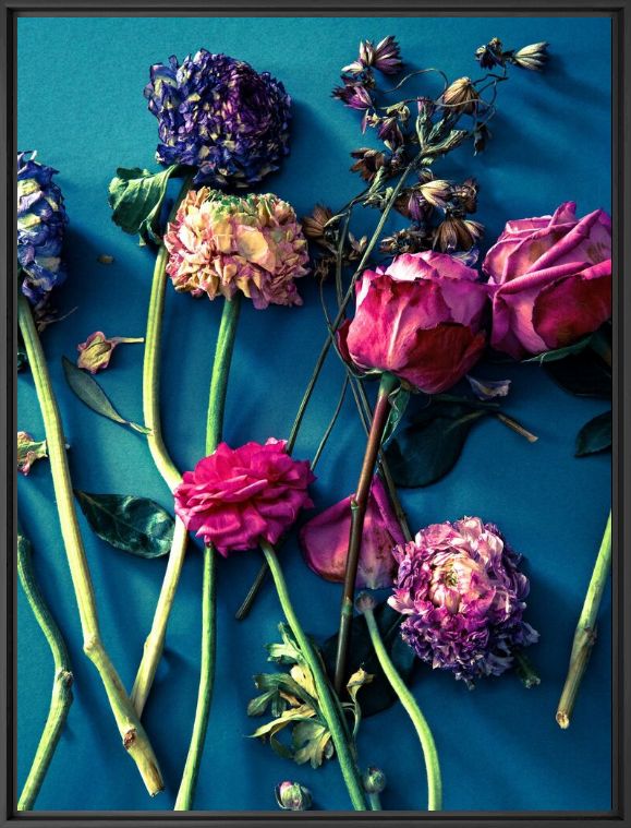 Photographie FLOWER STUDY 2 - INGRID RASMUSSEN - Tableau photo