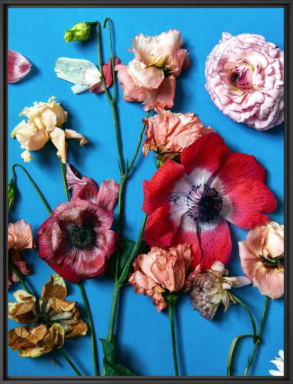 Photographie FLOWER STUDY 45 - INGRID RASMUSSEN - Tableau photo