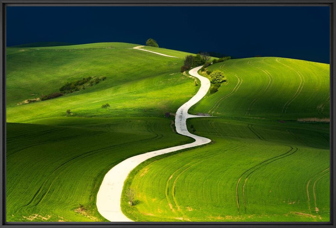 Photographie PATH OF LIFE - JANEK SEDLAR - Tableau photo